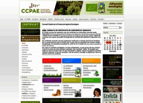 ccpae.org