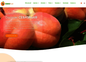 cebasfruit.com