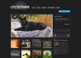 chrisroubis.com.au