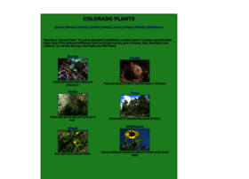 coloradoplants.org