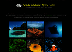 coraltriangleadventures.com