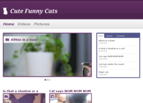 cutefunnycats.com