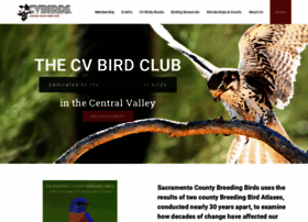cvbirds.org