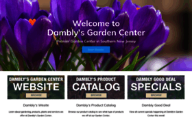 damblys.center