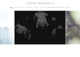 davidcrookes.com