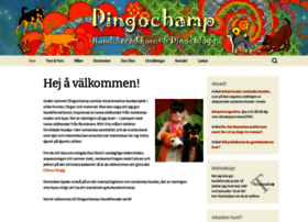 dingochamp.com