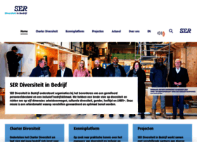 diversiteitinbedrijf.nl