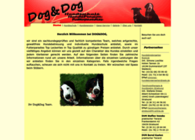 dog-dog-hundecamp.de