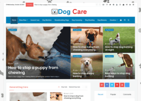 dogcareworld.net