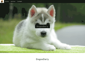 dogssdaily.org