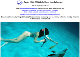 dolphindreamteam.com