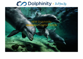 dolphinity.com