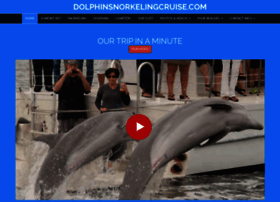 dolphinsnorkelingcruise.com