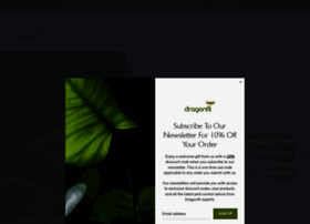 dragonfli.co.uk