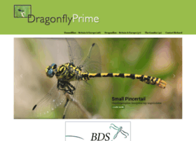 dragonflyprime.co.uk