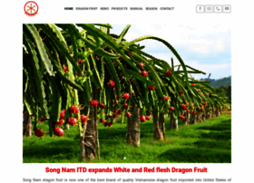 dragonfruit.net.vn