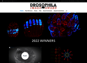 drosophila-images.org