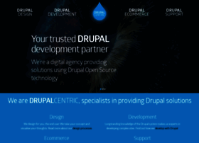 drupalcentric.solutions