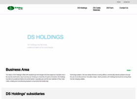 ds-holdings.com