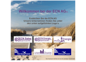 ecn-group.de
