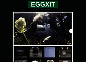eggxit.com