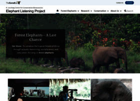 elephantlisteningproject.org