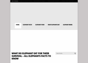elephantsfacts.com