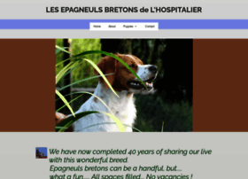 epagneul-breton.be
