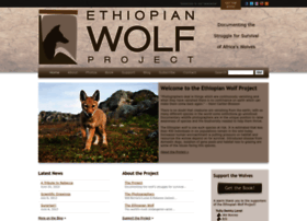 ethiopianwolfproject.com