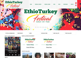 ethioturkeyfest.com