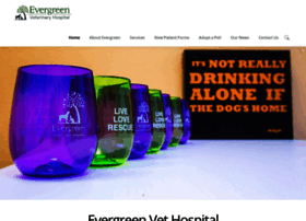 evergreenveterinaryhospital.com