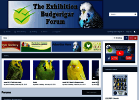 exhibitionbudgerigarforum.co.uk
