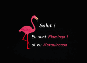 flamingo.ro