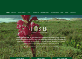 foster.org.za