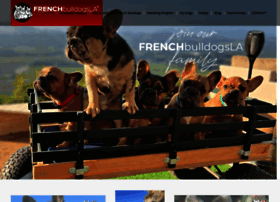 frenchbulldogsla.com