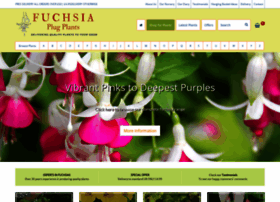 fuchsiaplugplants.co.uk