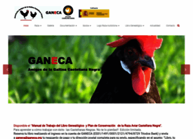 ganeca.org