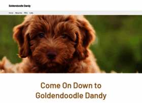 goldendoodledandy.com