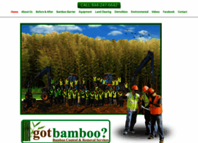 gotbamboo.com