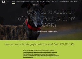 greyhoundadopt.org