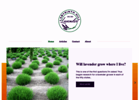 growinglavenderplants.com