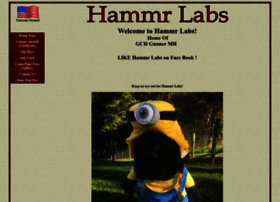 hammrlabs.com