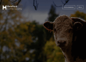 herefordcattle.org