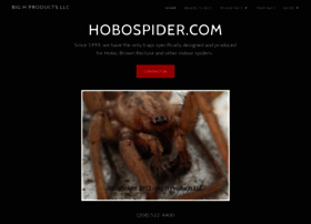 hobospider.com