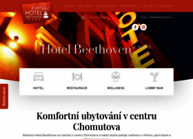 hotelbeethoven.cz