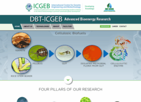 icgeb-bioenergy.org