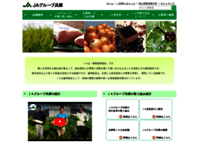 info.ja-hyoinf.co.jp
