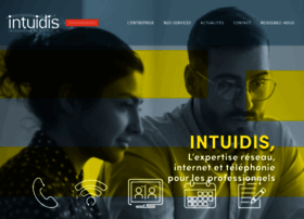 intuidis.com