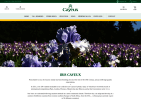 iris-cayeux.com