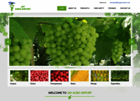 jayagroexport.com